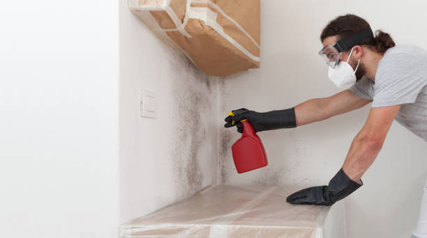 Professional Black Mold Removal technician working in Falcon, NC